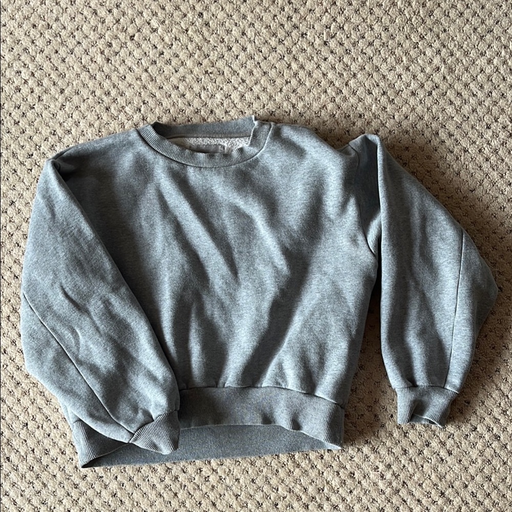 Everlane cropped crewneck